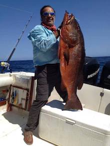 pesca de pargo