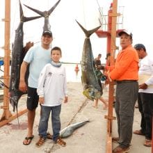 pesca de dorado en la renegada